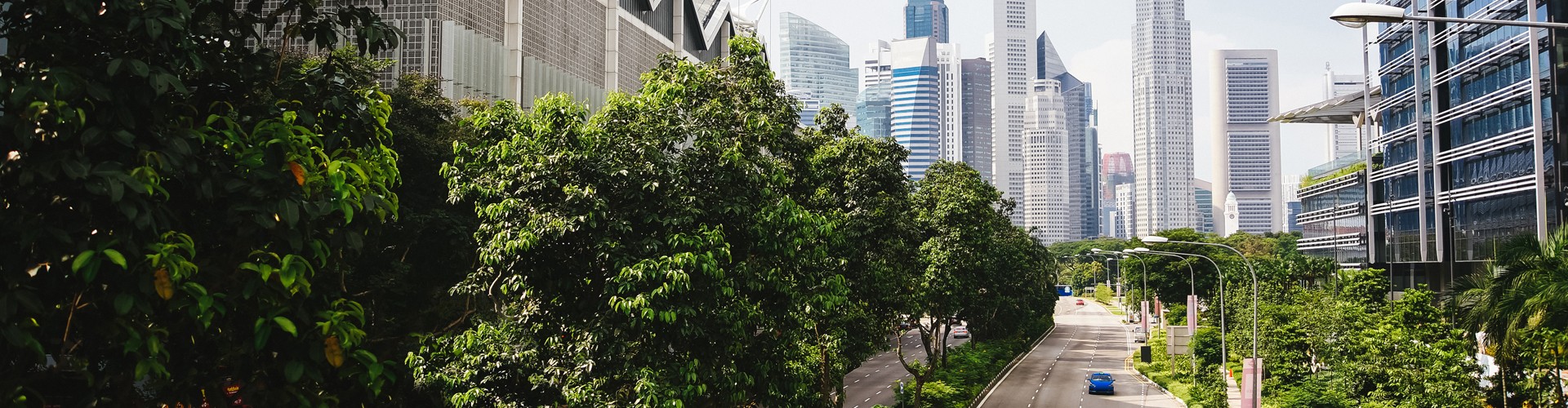 En armonía con el medio ambiente – nuestra responsabilidad para el futuro