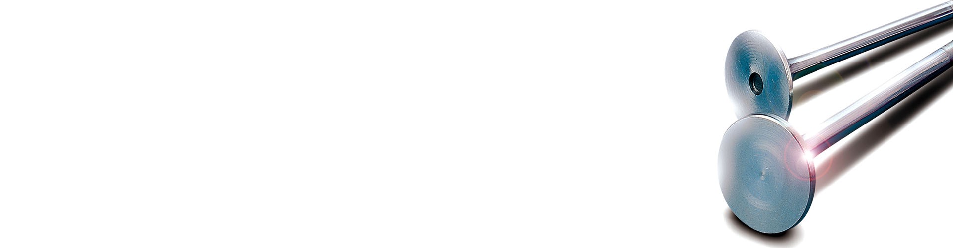 Light Vehicle Valves